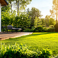 © mixzer | freepik.com | Ein ruhiger Hinterhof mit üppigem grünem Gras, einem Holzdeck und einem...